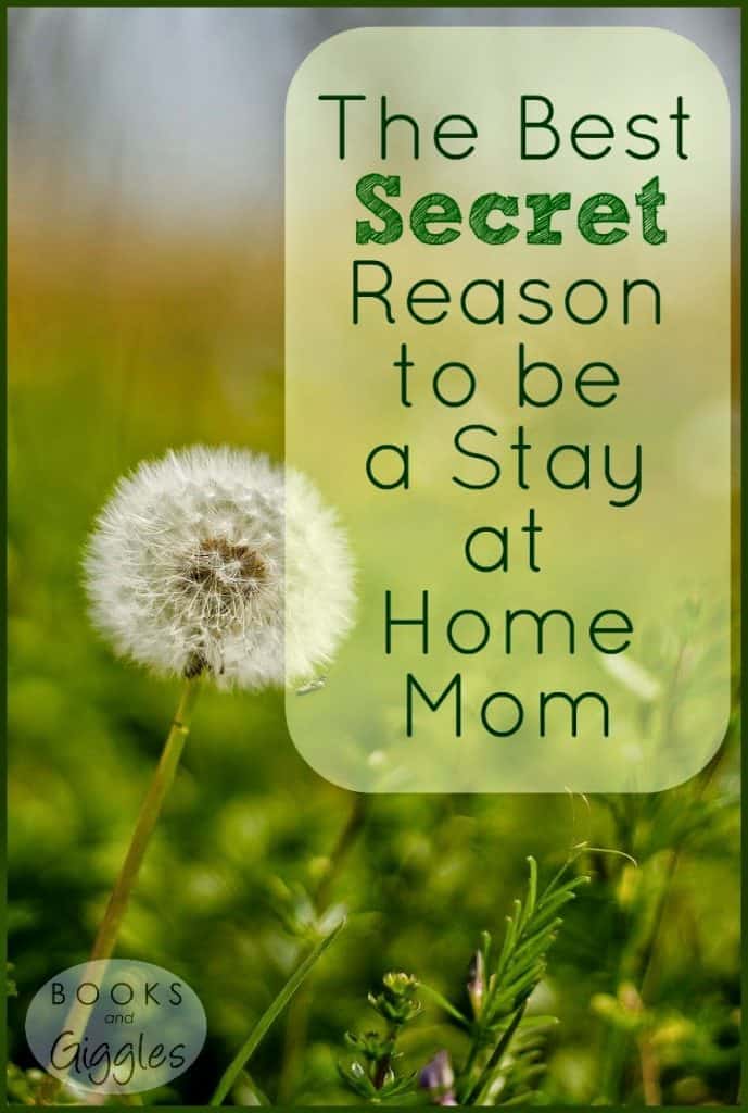 Best Books for Stay at Home Moms 