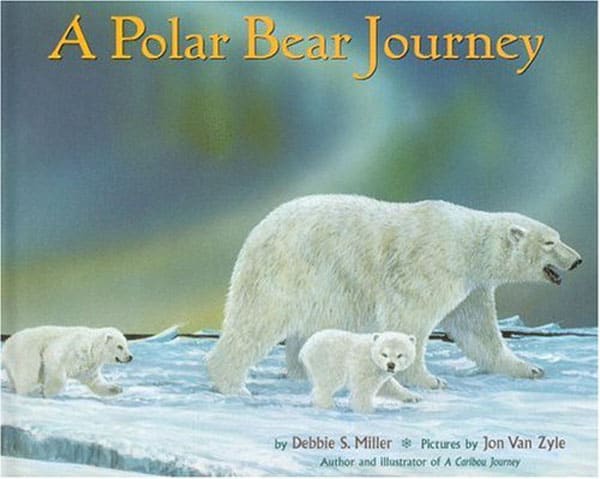 Our 12 Favorite Polar Bear Books For Kids