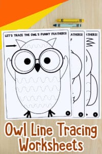 Owl Line Tracing Worksheets